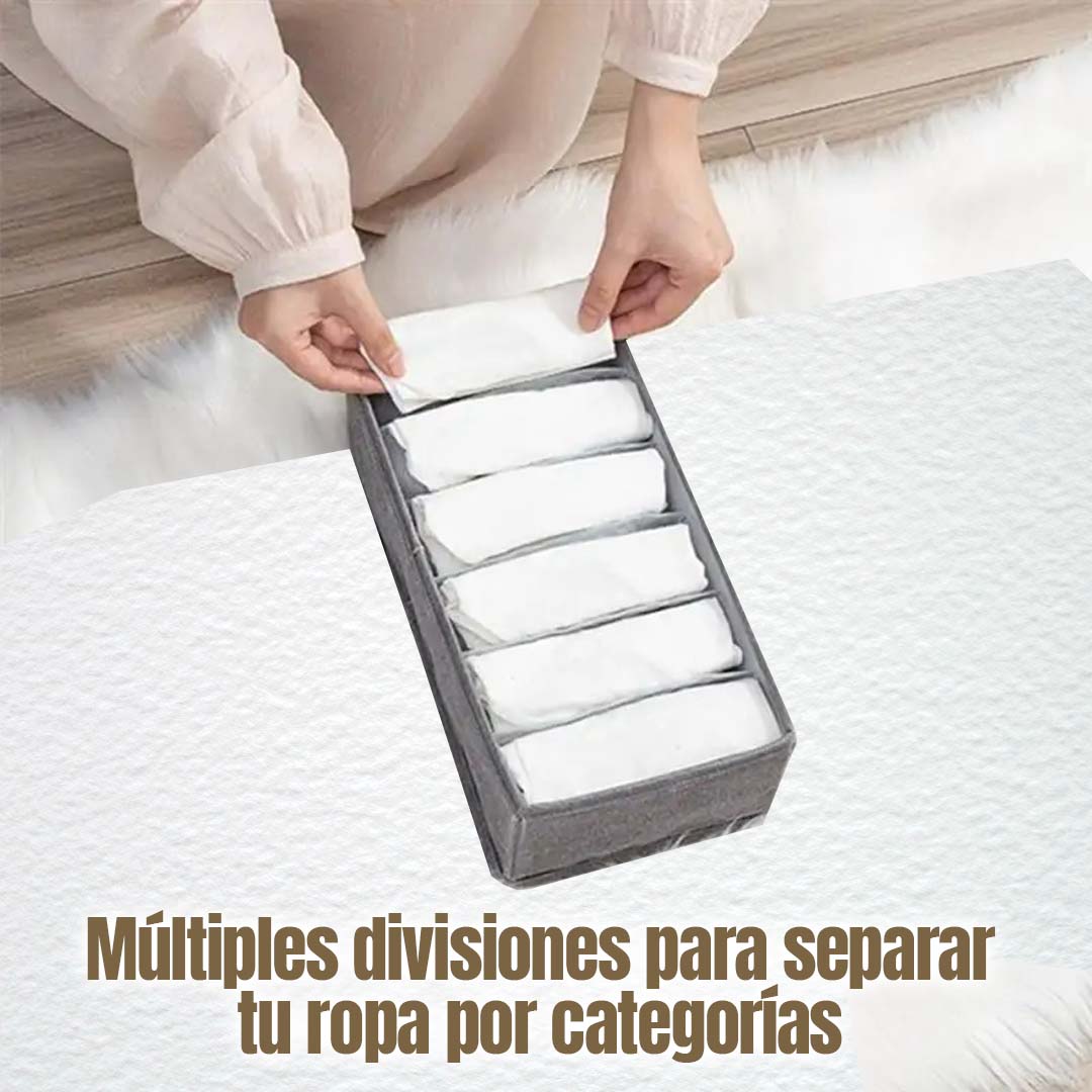 GABETA ORGANIZADORA CON DIVISIONES